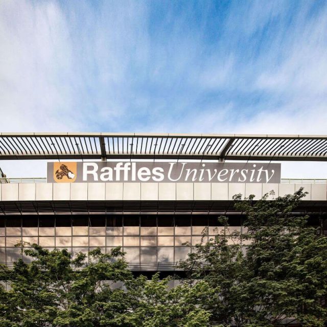 Raffles University Malaysia
